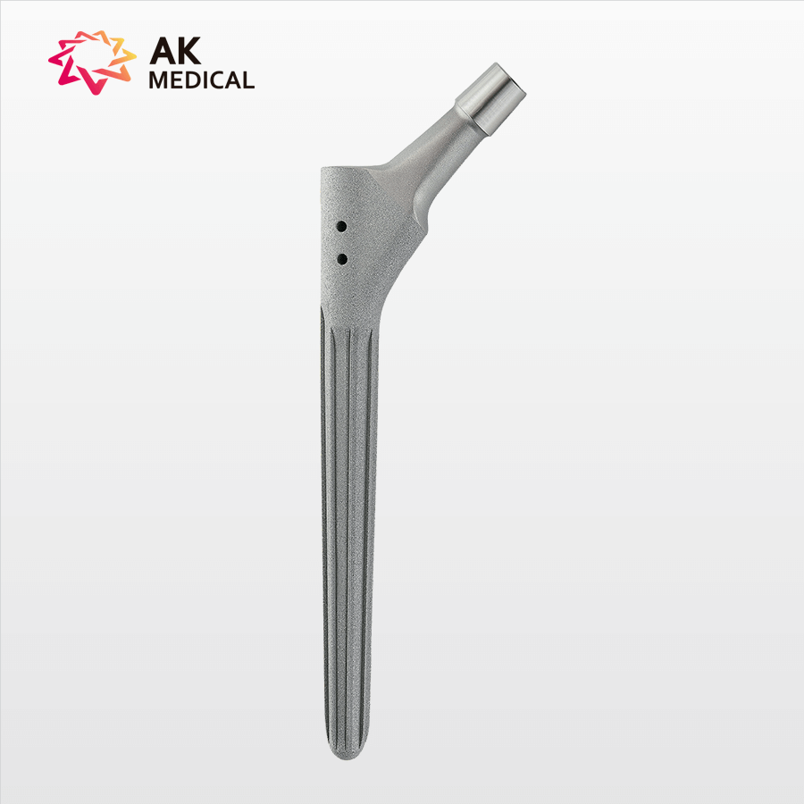AK-SL_VastagoFemoral